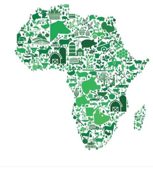 africa agri
